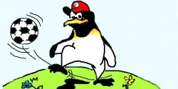 19